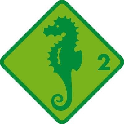 Vorschau des Gutschein-Designs 